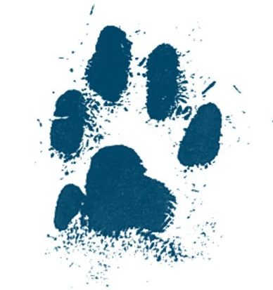 RED YELLOW BLUE|PRINT