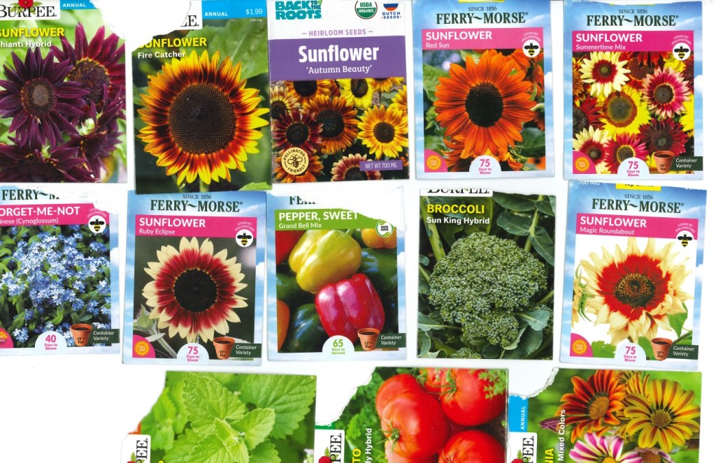 SO I’M HERE, NOW&nbsp;WHAT?